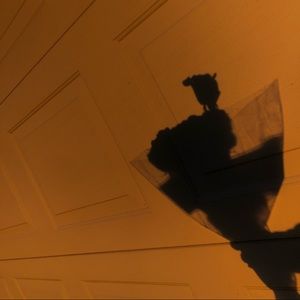 Meet your Posher, Isabella